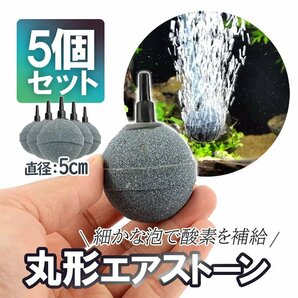 丸形エアストーン 細かい泡 直径5cm 大型球 水槽 釣り メダカ 金魚 錦鯉 水耕栽培 バブル 熱帯魚 水草の飼育 酸素補給 5個セット AS50M05Sの画像1