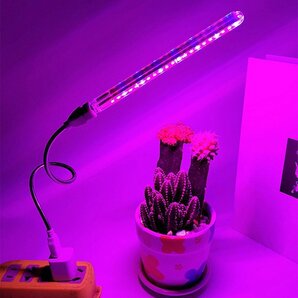植物育成LEDライト 10W 5V USB給電式 室内植物の成長を促進 赤色+青色 フルスペクトルLED21灯 フレキシブルネック付 SULED21の画像5