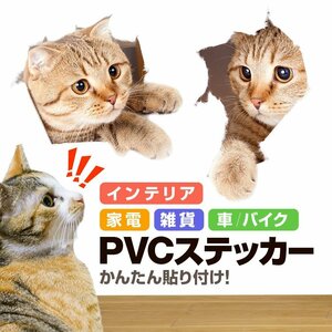 動物ステッカー かわいい PVC素材 カッティングステッカー ウォールステッカー CAT 猫 ネコ 簡単デコレーション 【飛び出す猫】NEKOXP2004