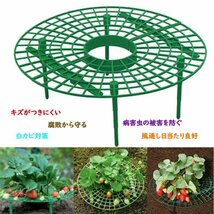 いちご植え支柱 2個セット 園芸支柱 野菜スタンド 誘引作業 白カビ 害虫対策 組み立て簡単 風通しがよい 繰り返し使用可 ITGS3030S2_画像4