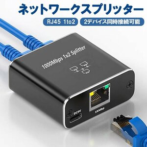 Networks Puritor 1000 Мбит / с Ethernet Splitter RJ45 Разъем частичной доставки 1 вход 2 вход 2 единицы одновременно подключенные LASP1000M