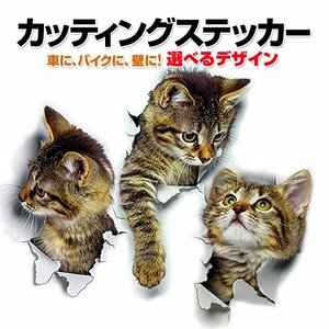 3D感のカーステッカー カッティング/ウォールステッカー インテリア トリックアート だまし絵 はがせる 3DCAT2001/横を見る猫