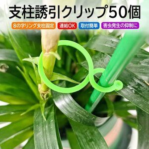 支柱誘引クリップ 50個セット 植物支柱リング 支柱連結 つる固定 八の字 ワンタッチ 結束バンド 誘引資材 園芸 ガーデニング ZWJ8S50