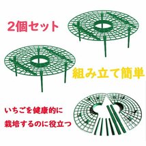 いちご植え支柱 2個セット 園芸支柱 野菜スタンド 誘引作業 白カビ 害虫対策 組み立て簡単 風通しがよい 繰り返し使用可 ITGS3030S2_画像2