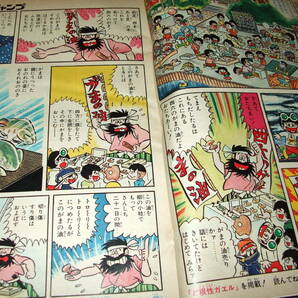 少年ジャンプ1974年47号◆大ぼら一代=本宮ひろ志/包丁人味平=ビッグ錠/プレイボール=ちばあきお/ど根性ガエル=吉沢やすみの画像4