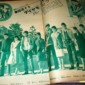 明星1961年3月号◆赤木圭一郎/吉永小百合/芦川いづみ/夏木陽介/司葉子/浅丘ルリ子/島倉千代子×大鵬/山本富士子/若尾文子の画像7