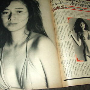 GORO 1981年2冊◆ジャネット八田/金沢碧/佳那晃子/石原真理子/沢田和美/宮崎美子/益戸育江/松田聖子 河合奈保子 三原順子の画像3