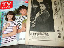 週刊TVガイド1982年2冊◆表紙=河合奈保子ほか・沢田研二&夏目雅子/田丸美寿々/坂口良子/大場久美子/美保純/松坂慶子_画像5