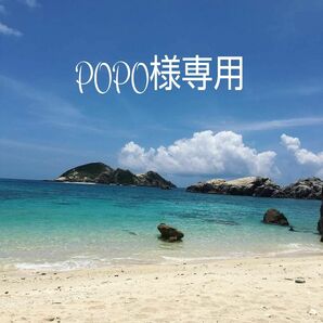 POPO様専用『okinawaの海を感じる』サンゴ礁の海レジンアート／オーシャンレジンアート
