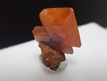 【完全結晶】ウルフェナイト　モリブデン鉛鉱　原石　標本_画像5