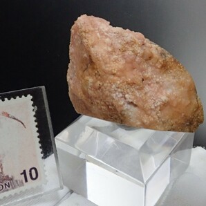 【大きな貝化石に結晶】ロードクロサイトonシェルフォッシル 菱マンガン鉱on 貝化石 原石 標本の画像7