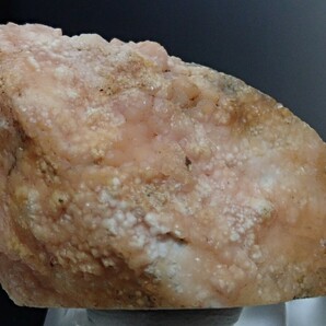 【大きな貝化石に結晶】ロードクロサイトonシェルフォッシル 菱マンガン鉱on 貝化石 原石 標本の画像4
