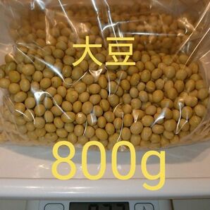 自家栽培 大豆 800g 家庭用 味噌 加工用