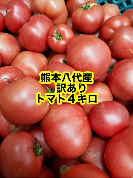 熊本八代産　塩混じりトマト4キロ