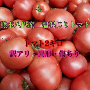 熊本八代産　塩混じりトマト２キロ