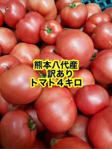 熊本八代産　塩混じりトマト４キロ