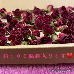 大サービス品★ミニバラドライフラワーB品セット★小型ダンボールにミニ薔薇をたっぷり詰めて約100輪以上入ります！★花材