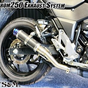 W2-V-184CB Vストローム250 V-Strom250 2BK-DS11A用 50.8mm 50.8φ 中間パイプ付き スリップオン マフラー リアルカーボン サイレンサーの画像4