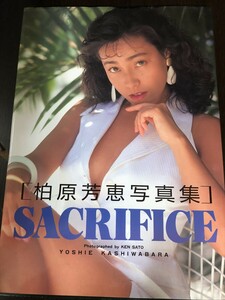 柏原芳恵 写真集 『SACRIFICE サクリファイス』 撮影/佐藤健 大陸書房 1992年8月 初版発行★W１８a2404