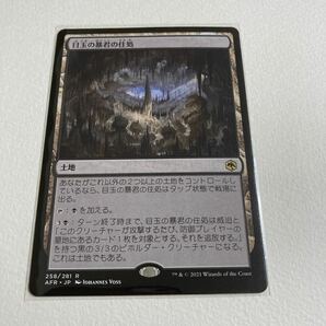 目玉の暴君の住処/日本語/Magic the Gathering/MTGの画像1