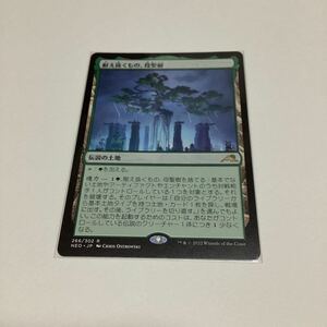 耐え抜くもの、母聖樹/日本語/Magic the Gathering/MTG