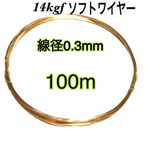 【100m】線径0.3mm 14kgf ソフトワイヤー　ハンドメイドアクセサリー作り等に　大量まとめ売り　激安