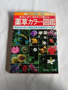 薬草カラー図鑑 伊沢一男 著 主婦の友社