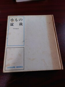 小もの盆栽　主婦の友社