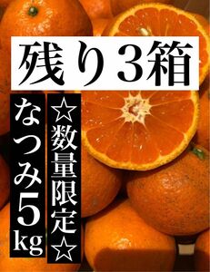 箱込5kg 家庭用 なつみ 愛媛県産 みかん 果物 ミカン 柑橘