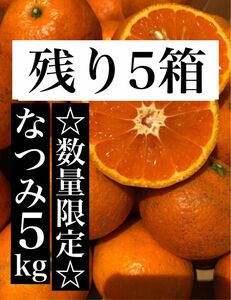 箱込5kg 家庭用 なつみ 愛媛県産 みかん 果物 ミカン 柑橘