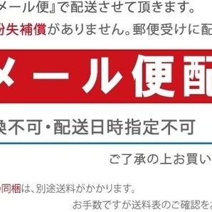 アネスト岩田 エアーダスター 激テクト MP5054B エアダスター エアーコンプレッサー エアーツール エアー工具の画像4