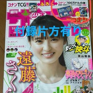 【名探偵コナン】少年サンデー 付録　100万ドルの書　22.23号