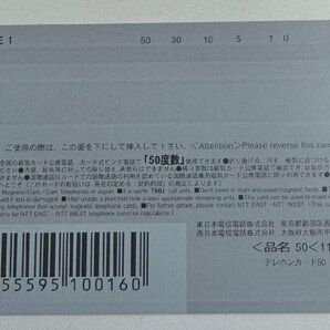 【41】【テレカ未使用50度数】Ten Colors 電撃萌王 2009年 4月号 Suigun Murakami テレホンカード コレクター放出品の画像2