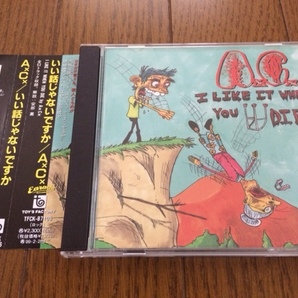 [ Anal Cunt / I Like it When you Die ] CD 帯付国内盤 送料無料 Napalm Death, Brutal Truth, Nasumの画像1