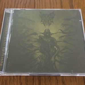 [ Defeated Sanity / Passages Into Deformity ] CD&DVD 送料無料 Suffocation, Disgorge, Devourment, Deicide, Morbid Angelの画像1