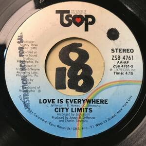 試聴 CITY LIMITS LOVE IS EVERYWHERE 両面EX+ 