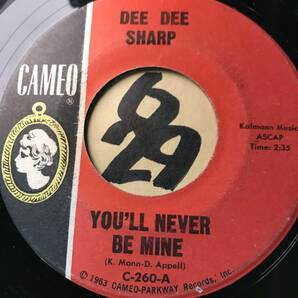 試聴 DEE DEE SHARP ROCK ME IN THE CRADLE OF LOVE / YOU’LL NEVER BE MINE 両面VG++ SOUNDS EX+ の画像2