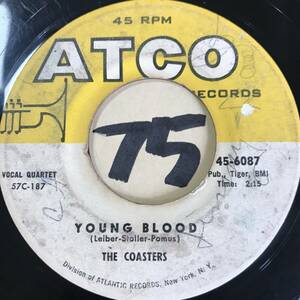 試聴 THE COASTERS YOUNG BLOOD / SEARCHIN’ 両面VG(+)