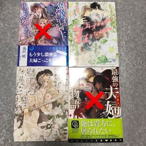BL 小説 セット