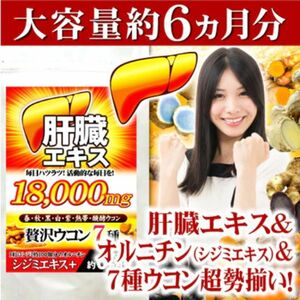 お値引き中！お酒好き必見！肝臓エキス+7種ウコン+シジミ 6ヶ月分