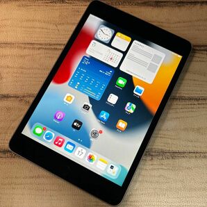 【1243】iPad mini 第4世代 16GB