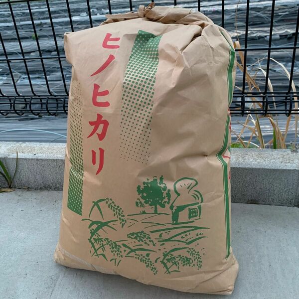 令和5年産　ひのひかり　玄米5kg