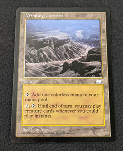 MTG WTH 英語版 七曲がりの峡谷/Winding Canyons