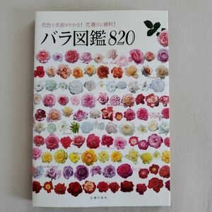 バラ図鑑820