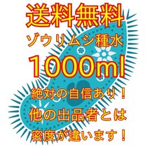 史上最強★絶対の自信あり★密度が違います★簡単培養ゾウリムシ1000mlペットボトルで爆殖中！生クロレラも出品中！_画像1