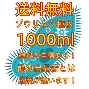 史上最強★絶対の自信あり★密度が違います★簡単培養ゾウリムシ1000mlペットボトルで爆殖中！生クロレラも出品中！