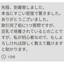 史上最強★絶対の自信あり★密度が違います★簡単培養ゾウリムシ500ml★ペットボトルで爆殖中★ビーシュリンプの餌に★生クロレラも出品中_画像4