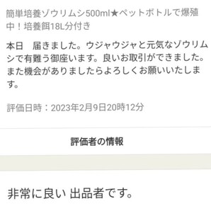 史上最強★絶対の自信あり★密度が違います★簡単培養ゾウリムシ500ml★ペットボトルで爆殖中★ビーシュリンプの餌に★生クロレラも出品中の画像3