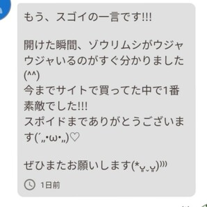 史上最強★絶対の自信あり★密度が違います★簡単培養ゾウリムシ500ml★ペットボトルで爆殖中★ビーシュリンプの餌に★生クロレラも出品中の画像2