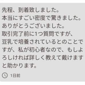 史上最強★絶対の自信あり★密度が違います★簡単培養ゾウリムシ500ml★ペットボトルで爆殖中★ビーシュリンプの餌に★生クロレラも出品中の画像4